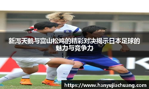 JJB竞技宝官网