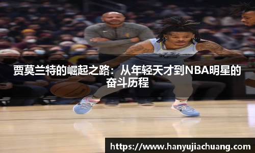 JJB竞技宝官网
